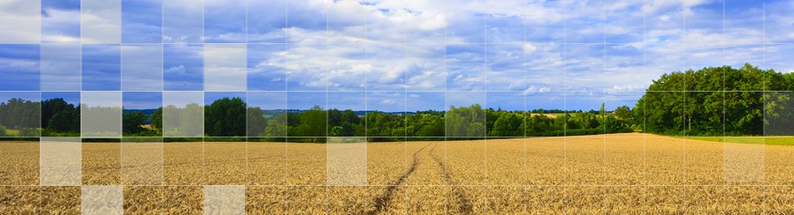 Public profile header image