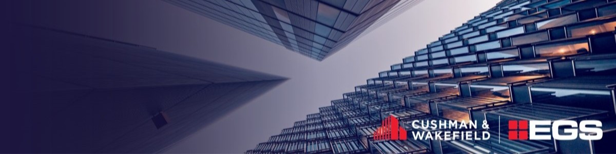 Public profile header image