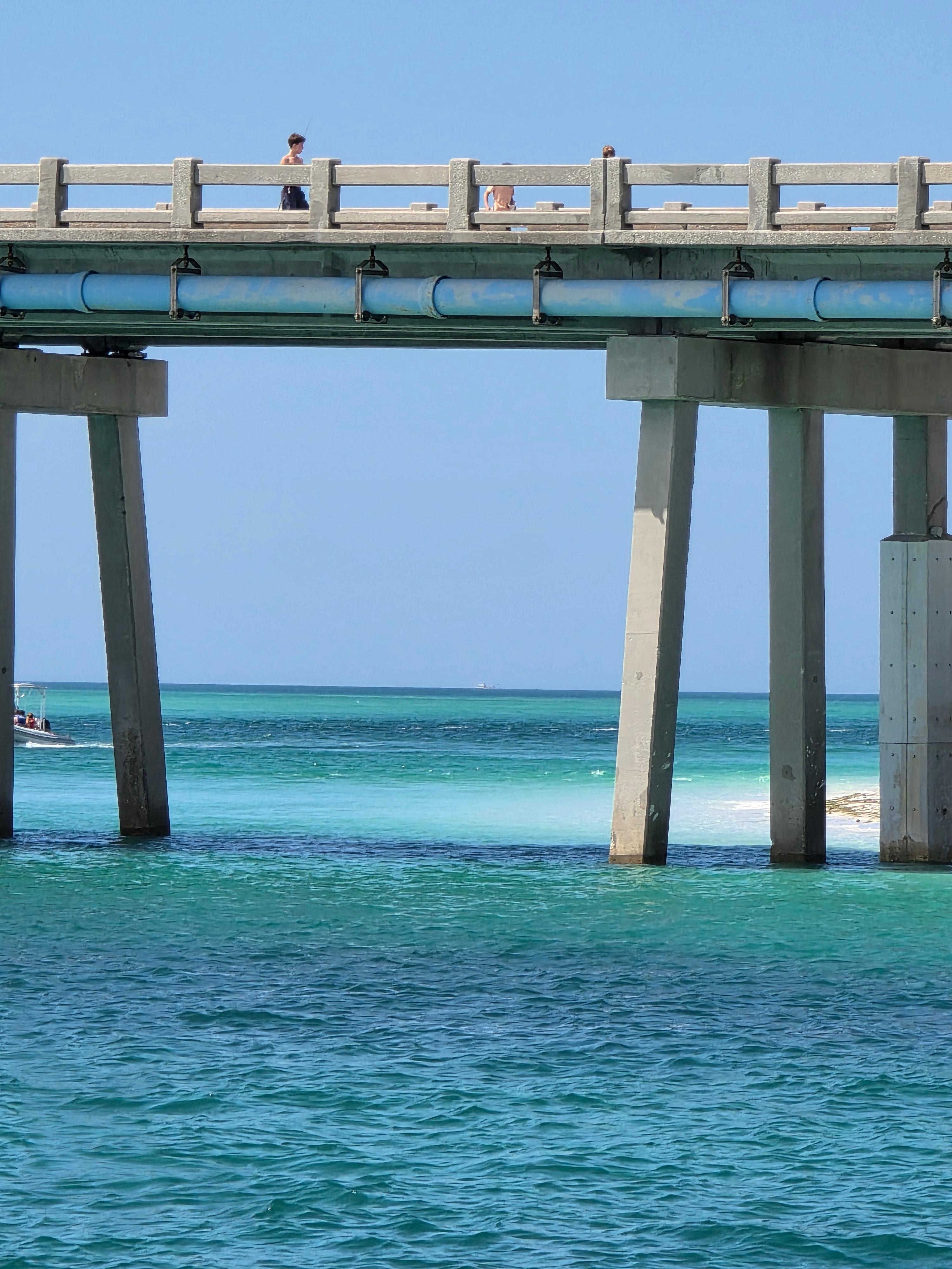 Public profile header image