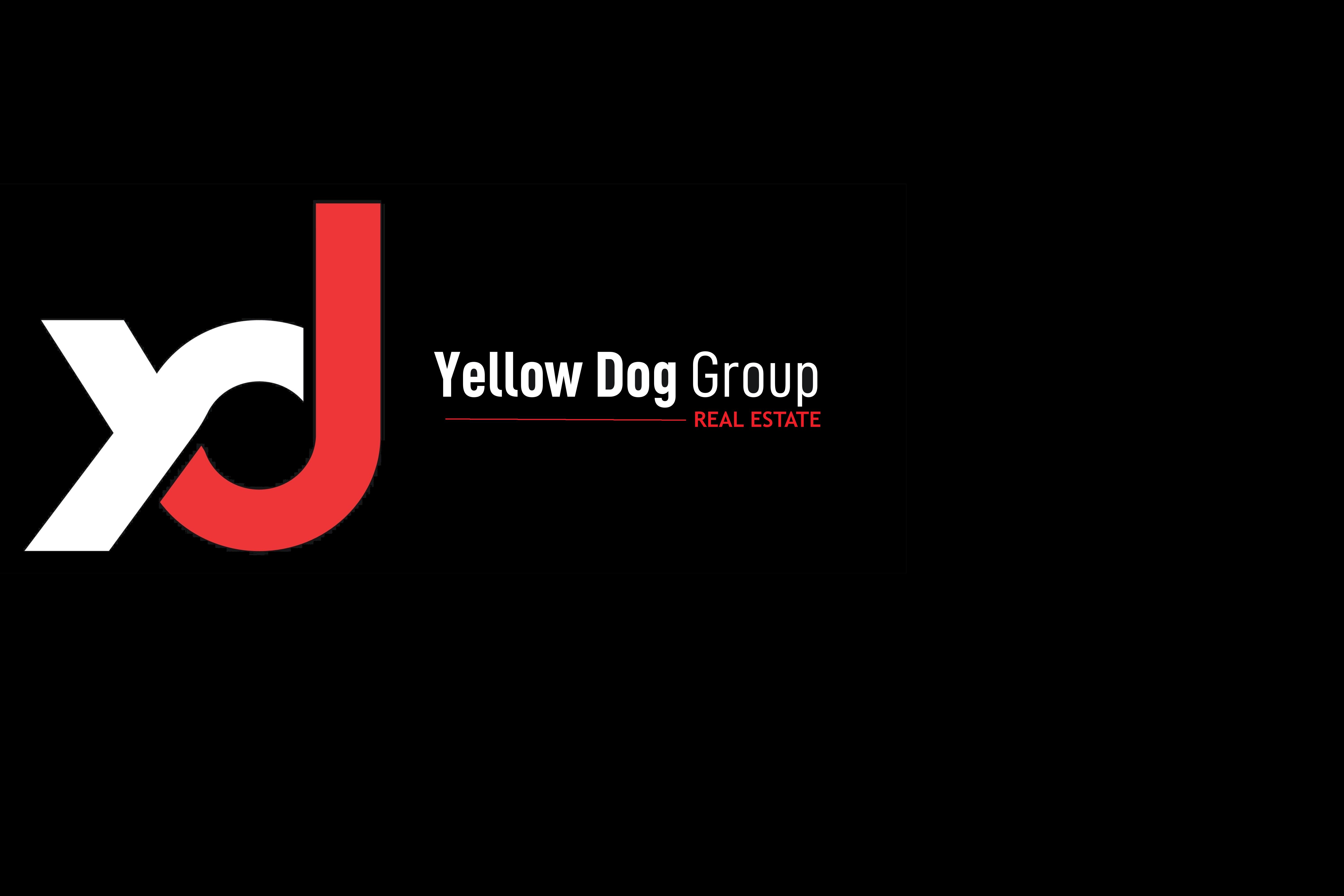 Public profile header image