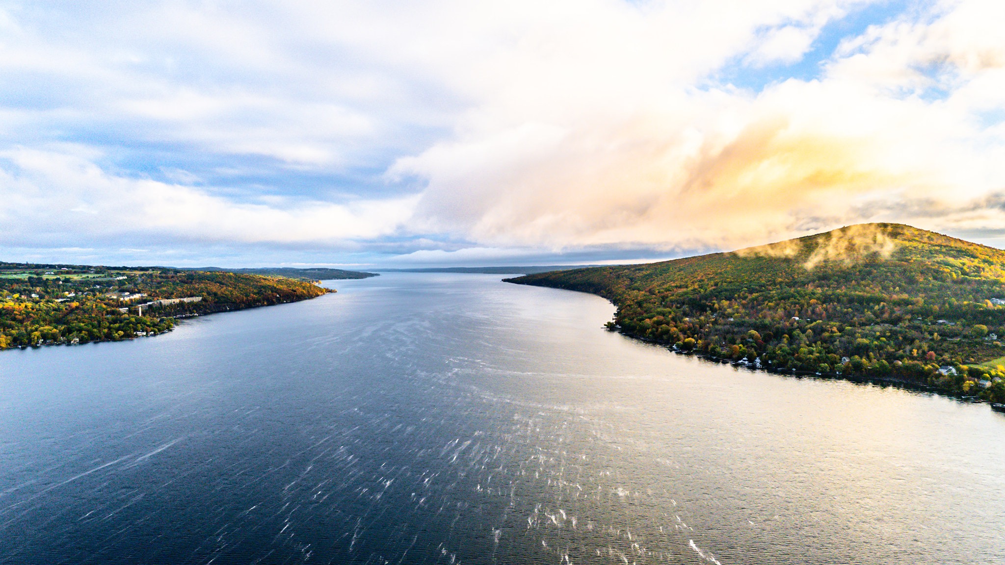 Public profile header image