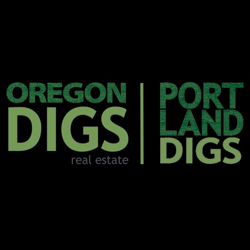 Public profile header image