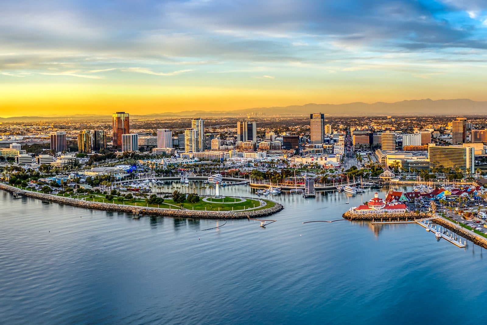 Public profile header image