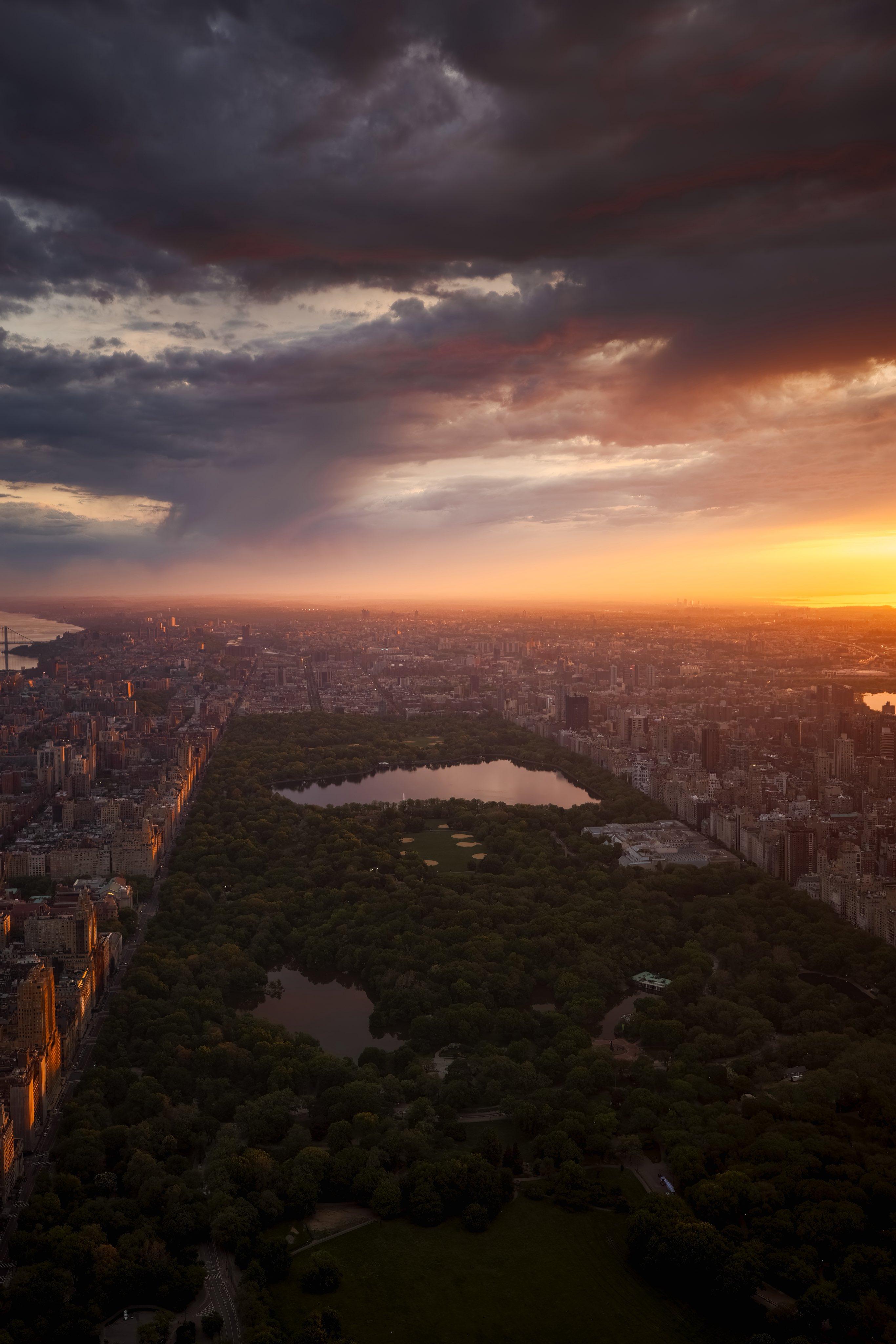 Public profile header image