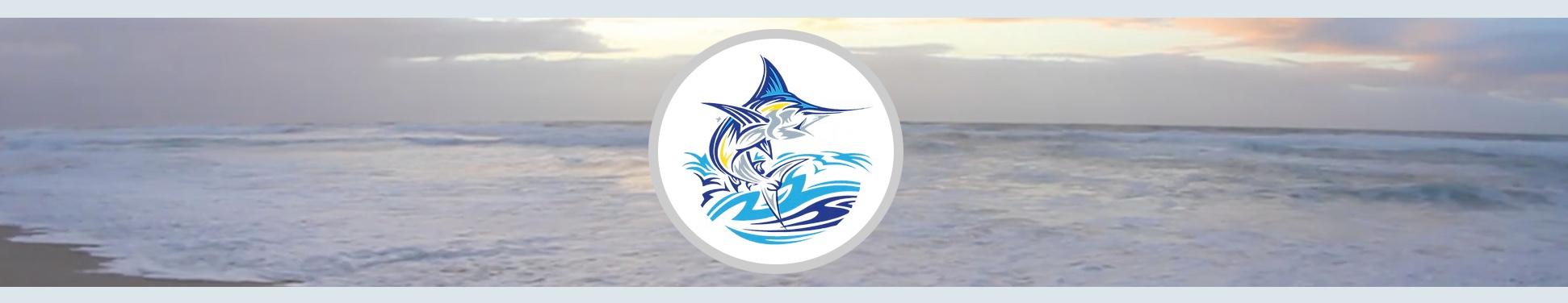 Public profile header image