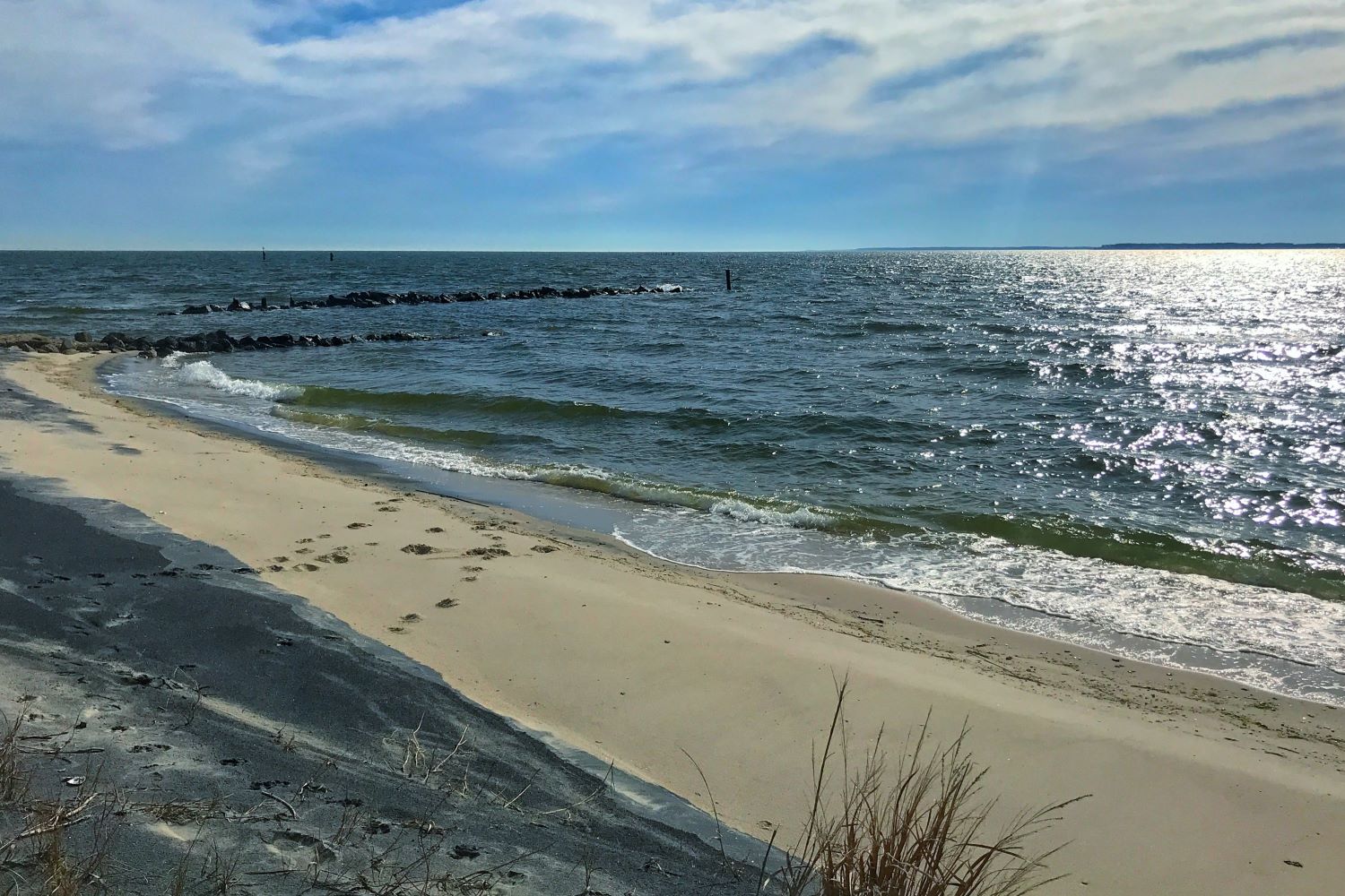 Public profile header image