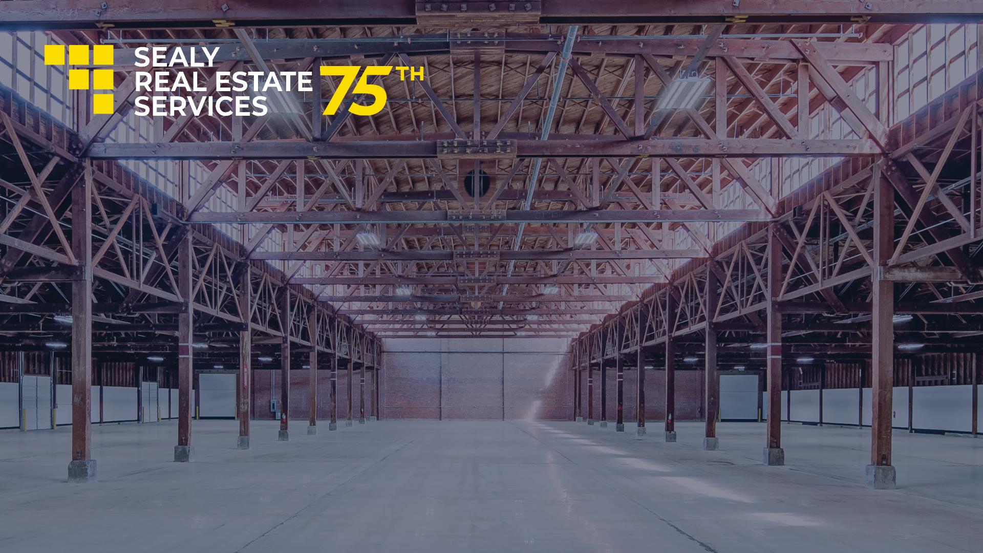 Public profile header image