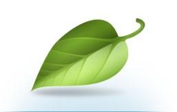 Public profile header image
