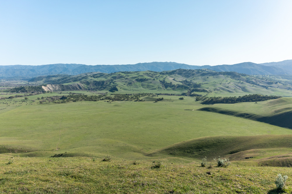 Michael Brigantino San Benito Realty Crexi