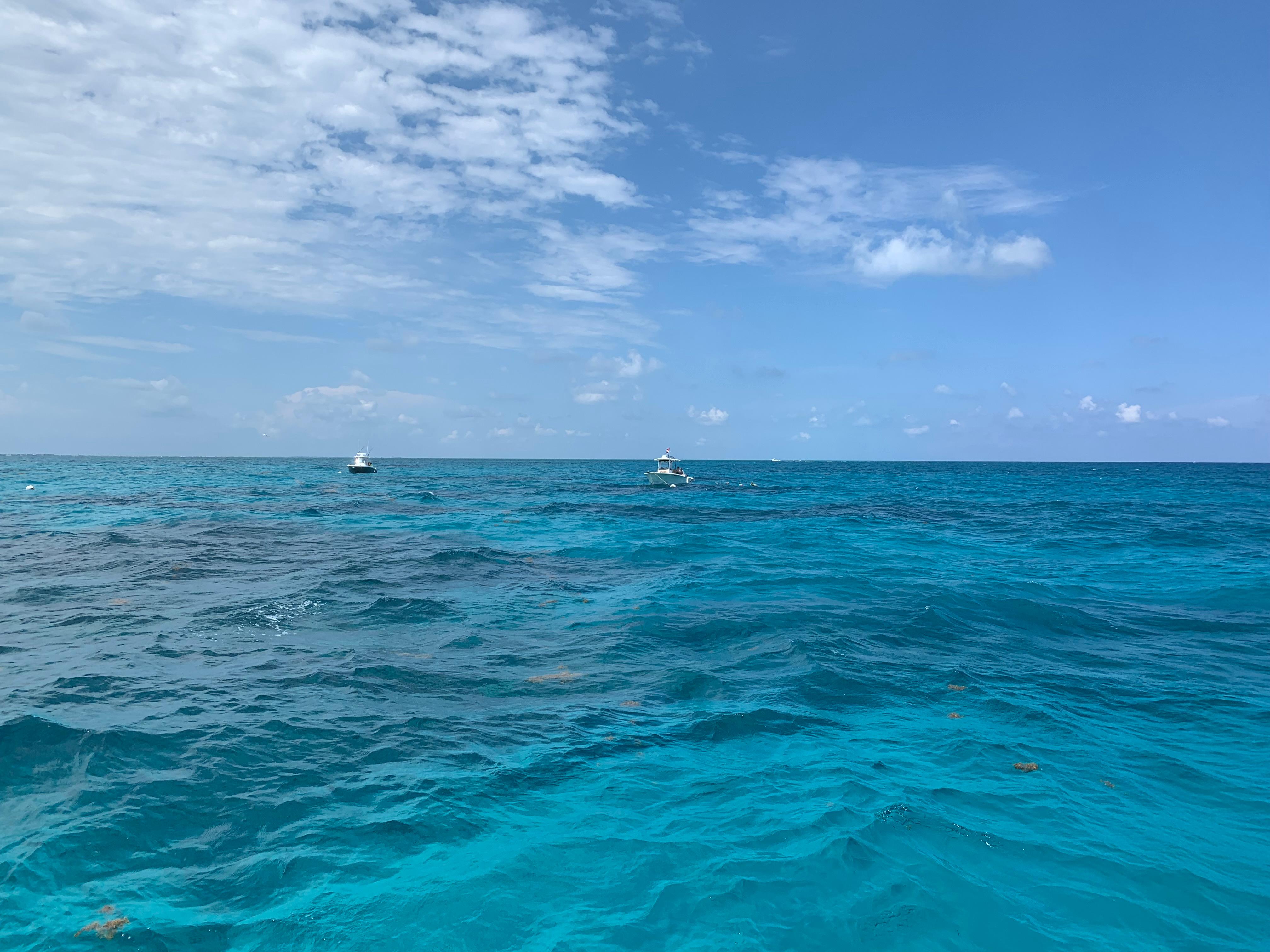Public profile header image