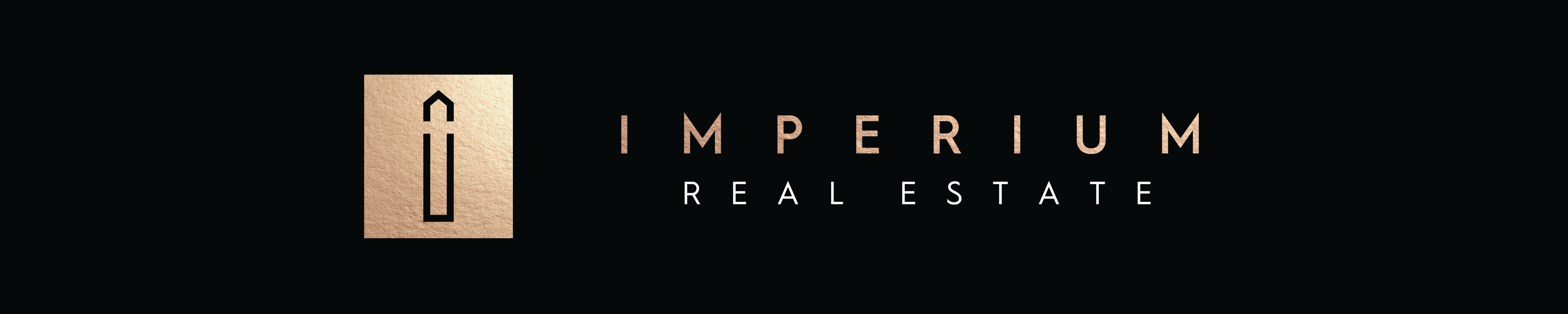 Stan Briggs Imperium Real Estate Crexi