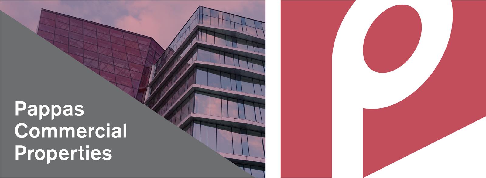 Public profile header image