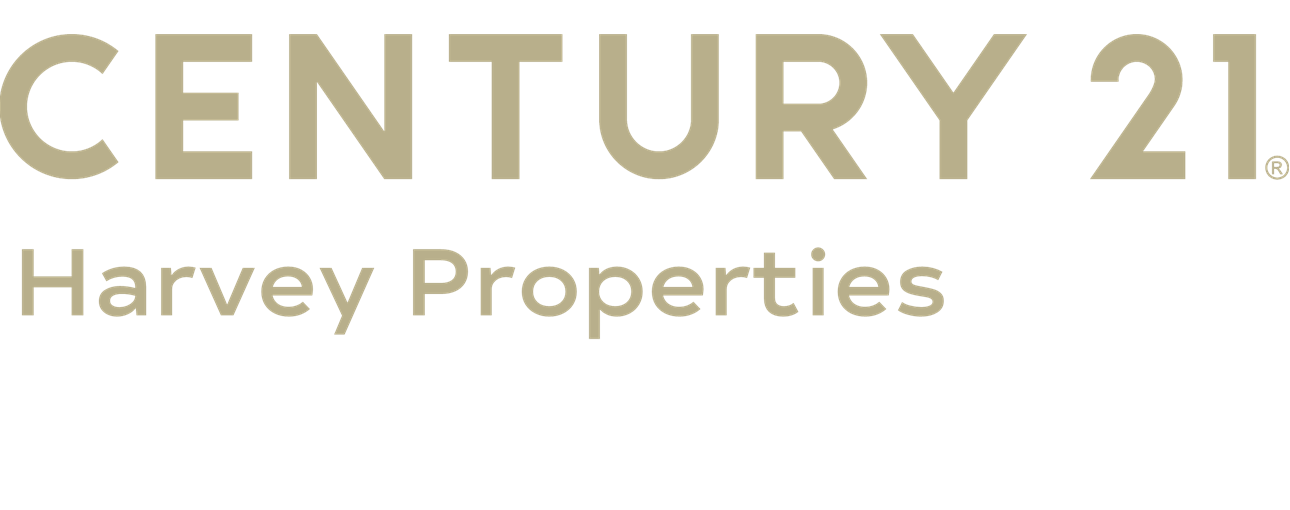 Public profile header image