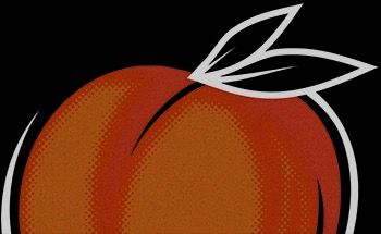 Public profile header image