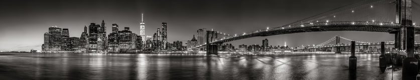 Public profile header image