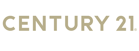 Public profile header image