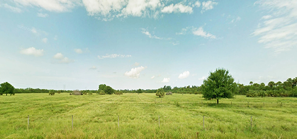 Public profile header image