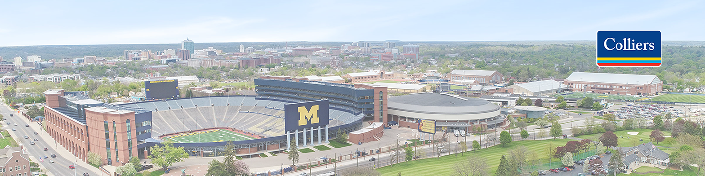 Public profile header image