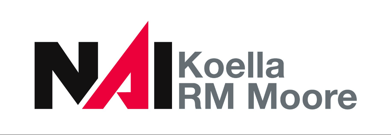 Public profile header image