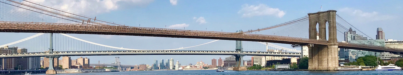 Public profile header image