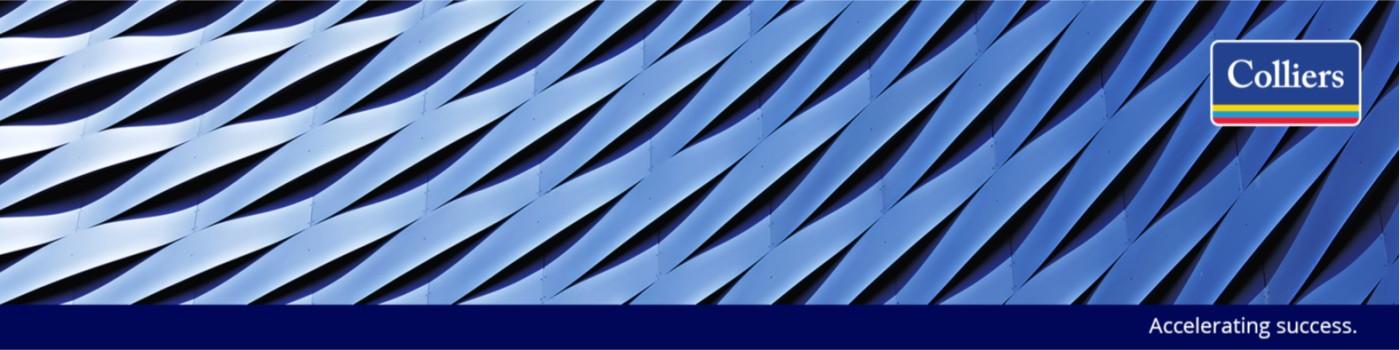 Public profile header image