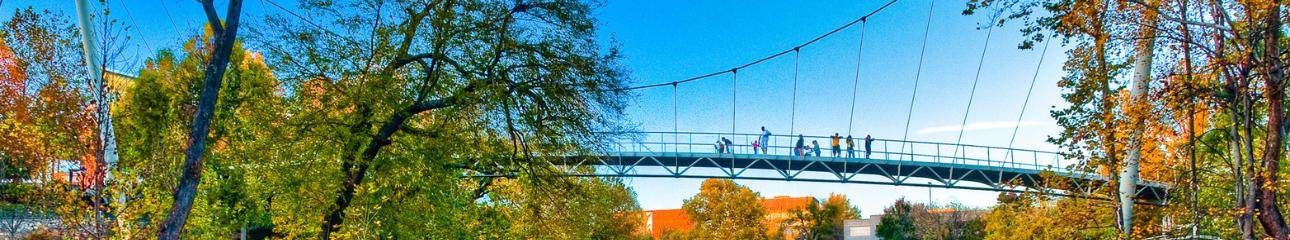 Public profile header image