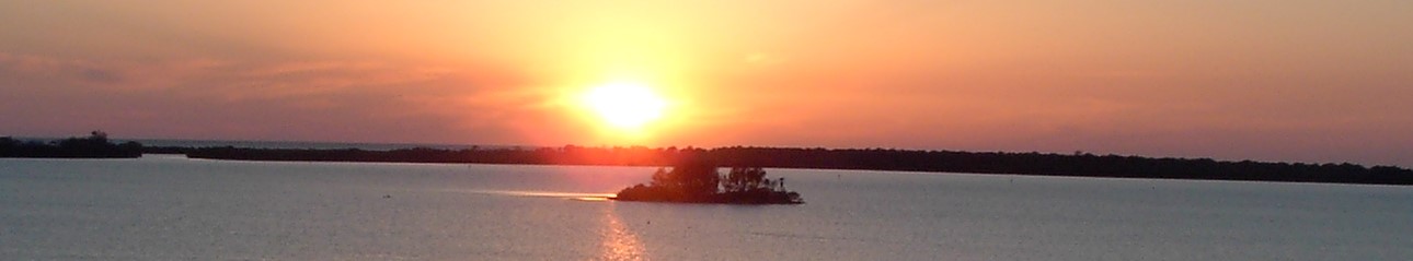 Public profile header image