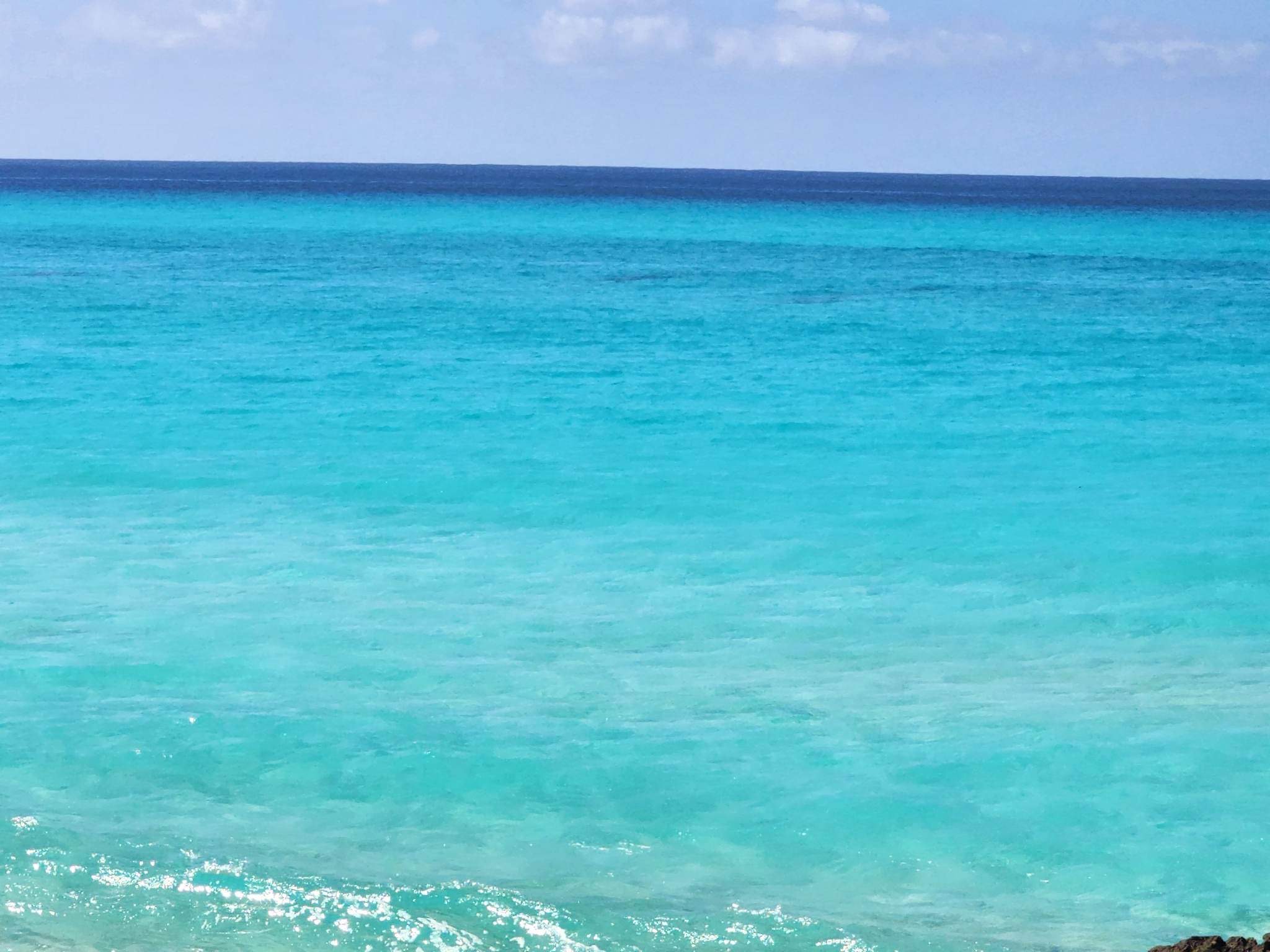 Public profile header image