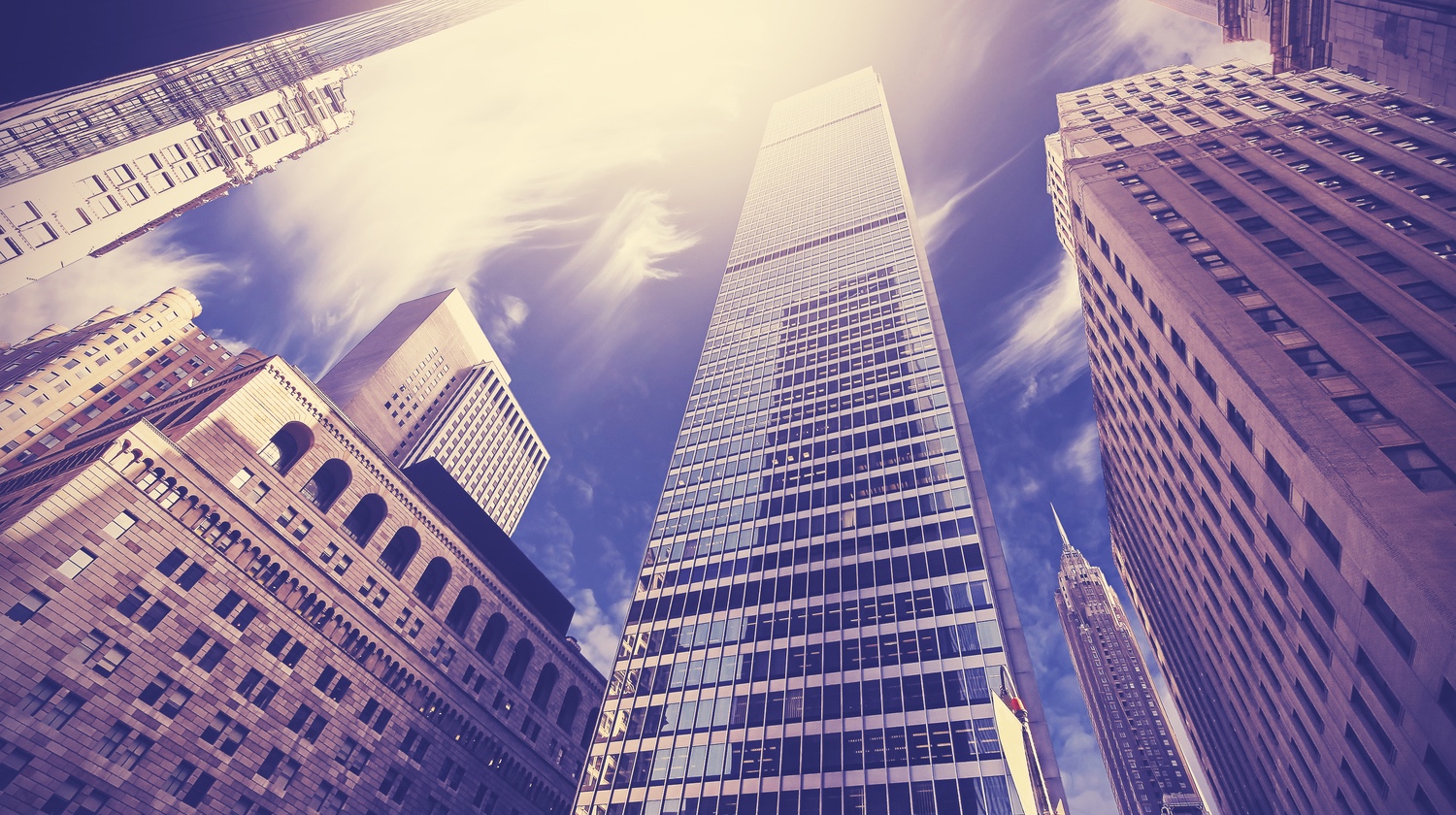 Public profile header image