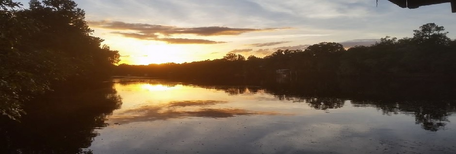 Public profile header image