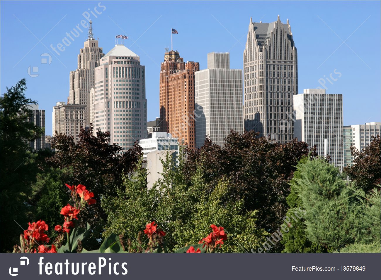 Public profile header image