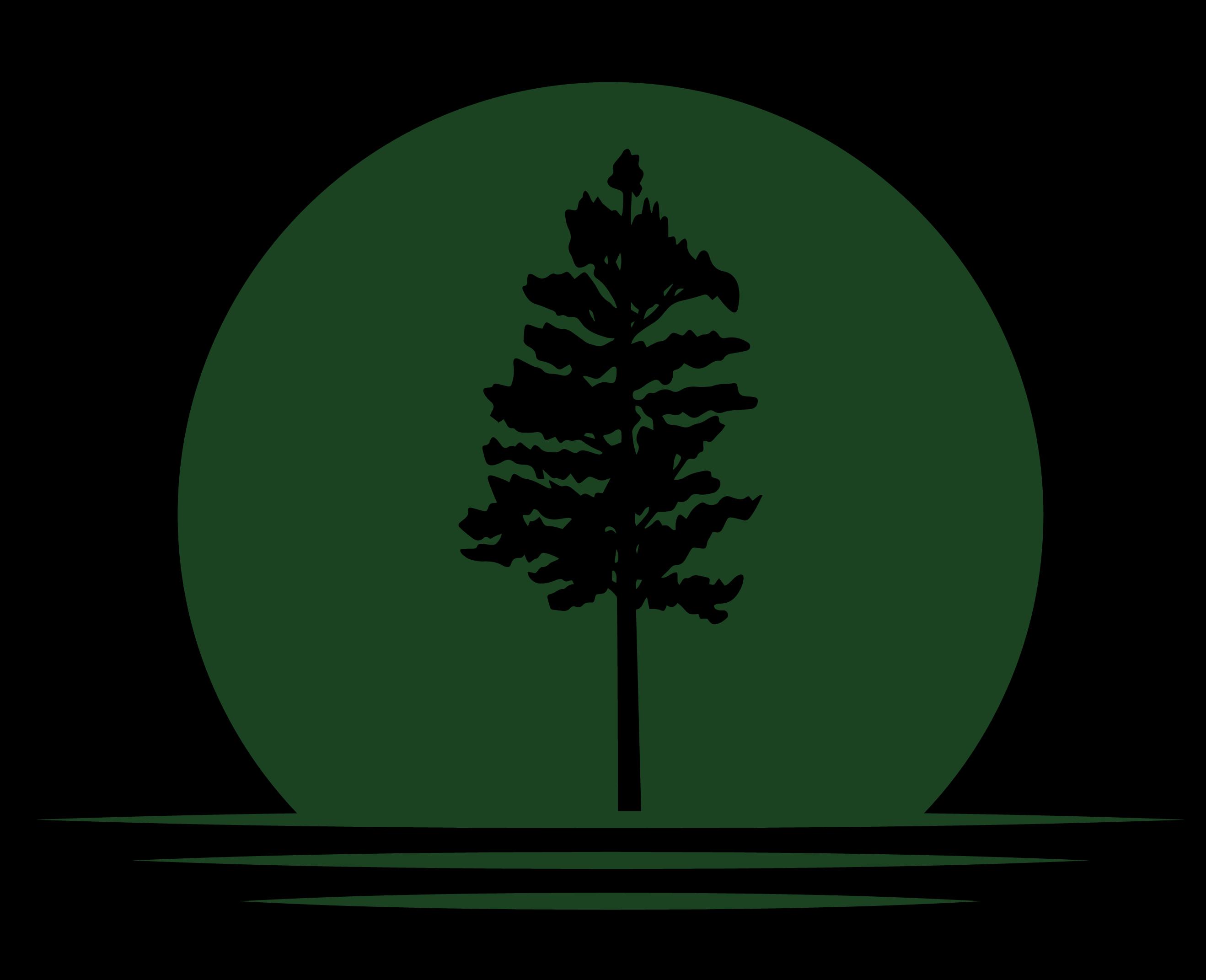 Public profile header image