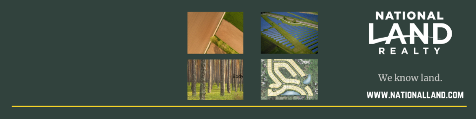 Public profile header image