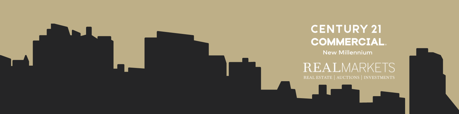 Public profile header image