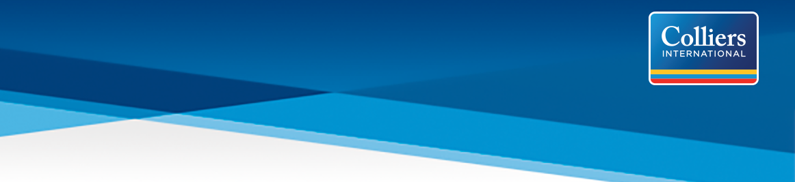 Public profile header image