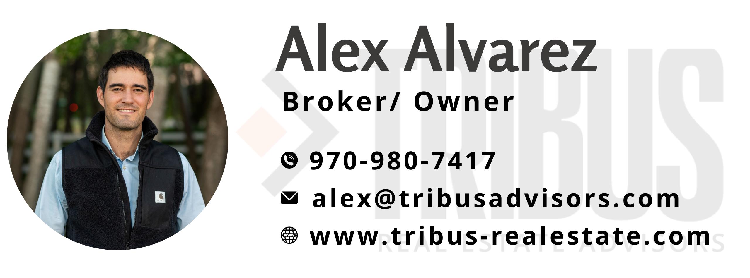 Public profile header image