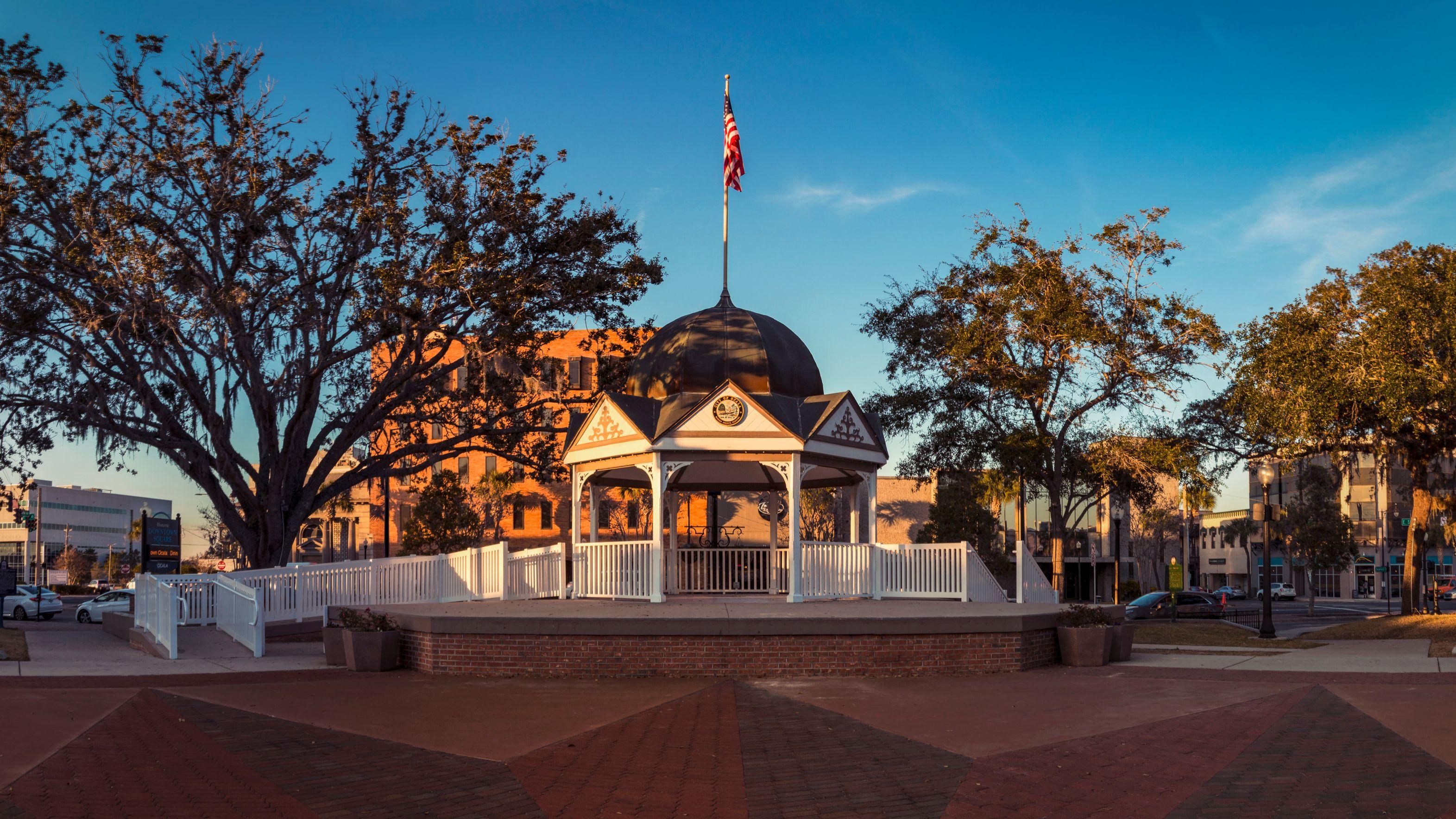 Public profile header image