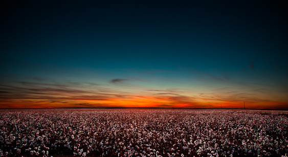 Public profile header image
