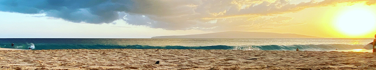 Public profile header image