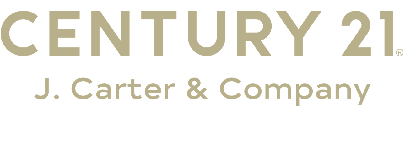 Public profile header image