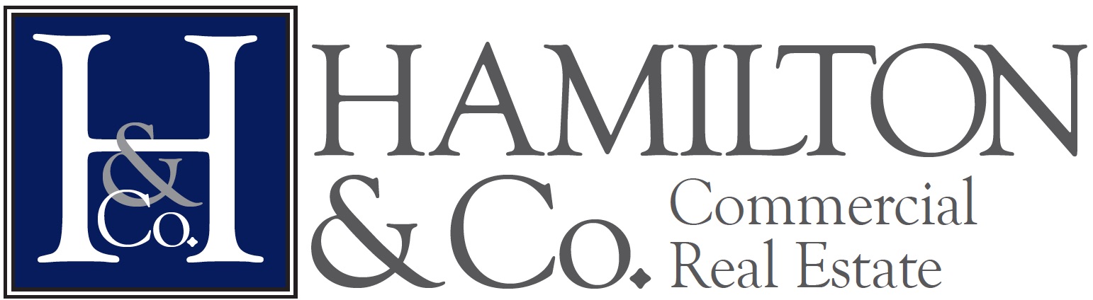 Public profile header image