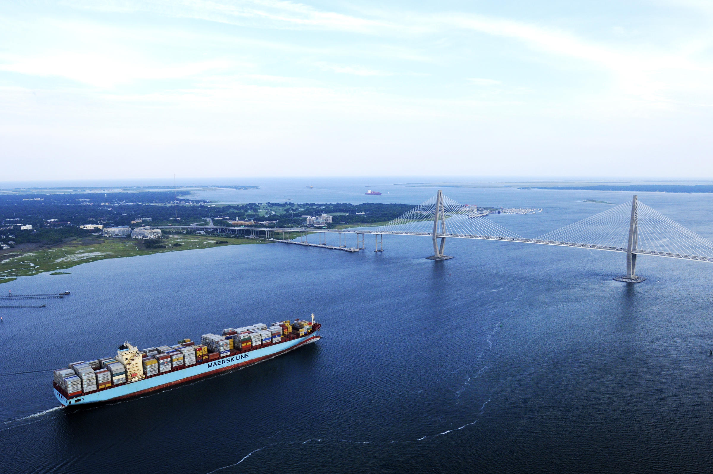 Public profile header image