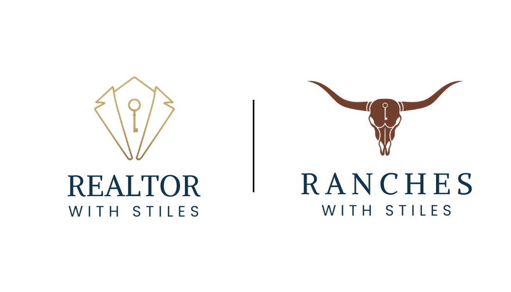 Public profile header image