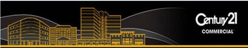 Public profile header image