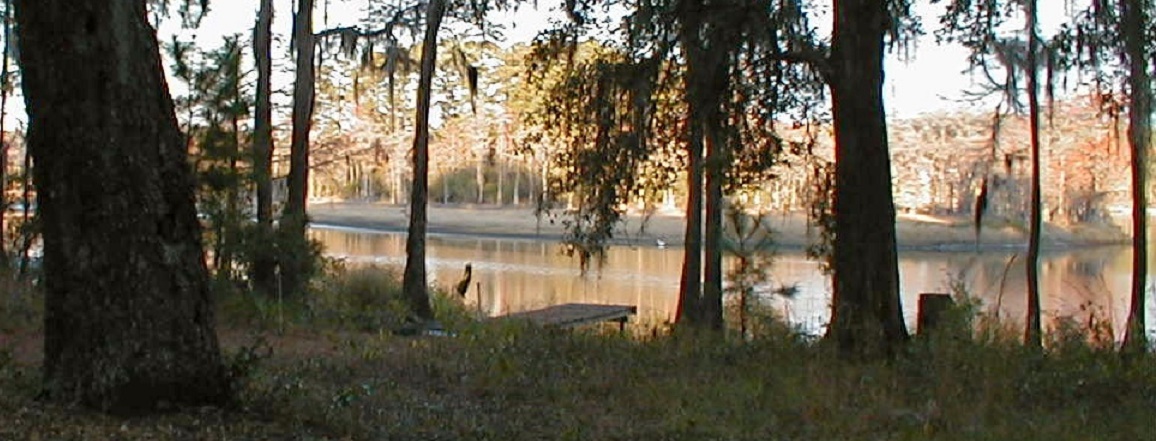 Public profile header image