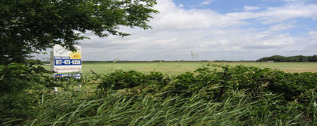 Public profile header image