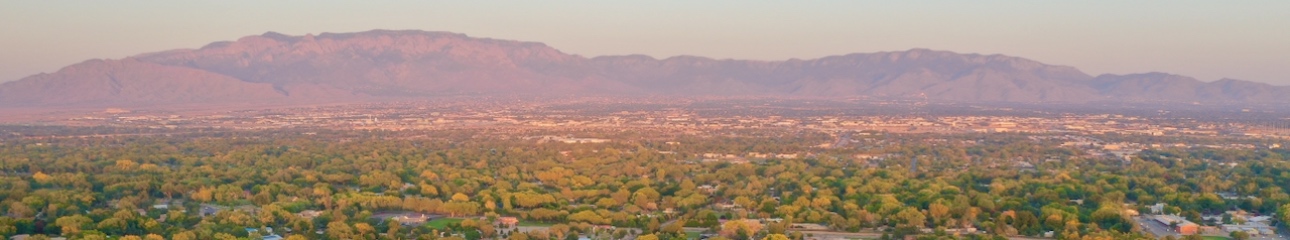 Public profile header image