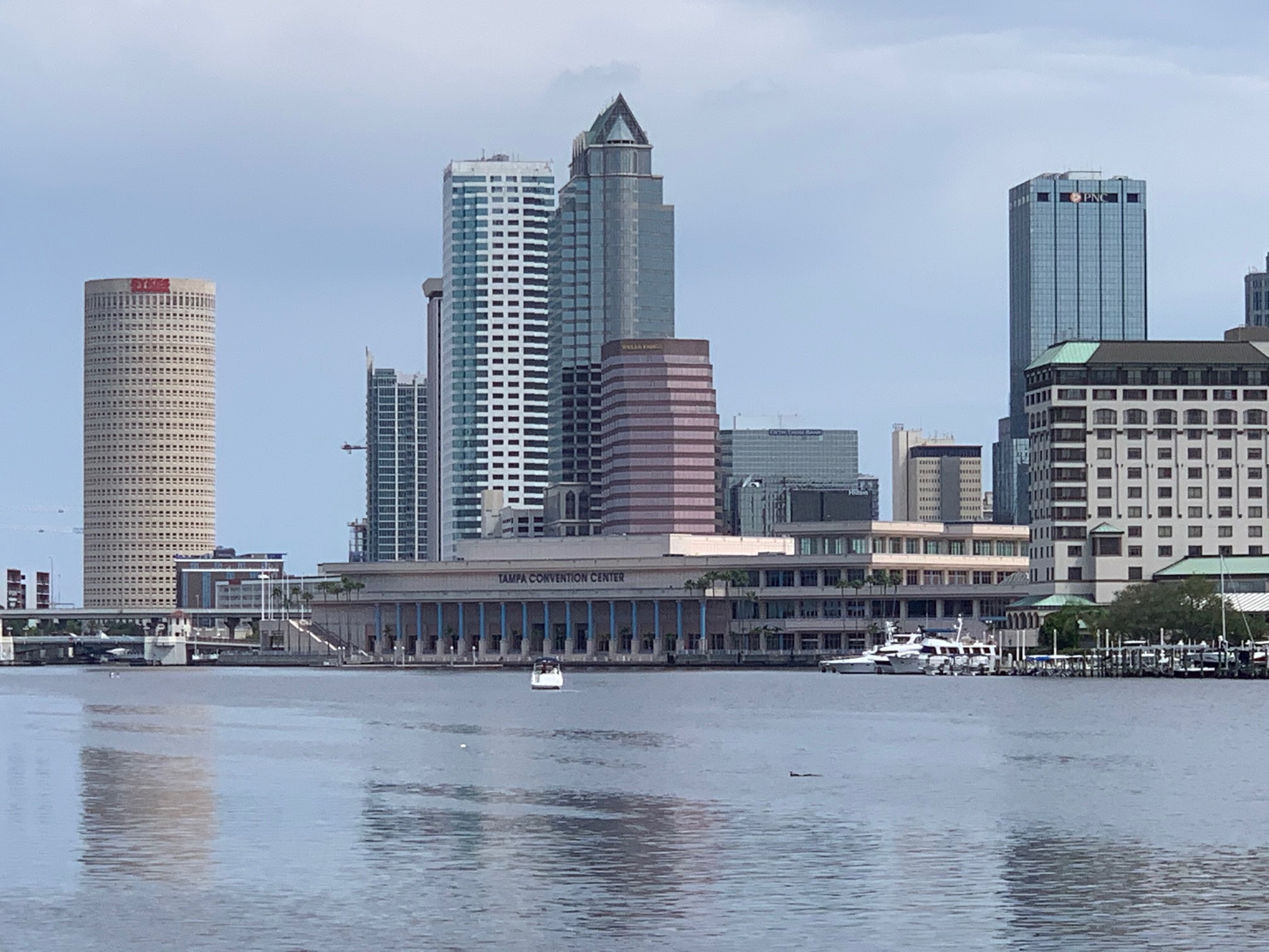 Public profile header image