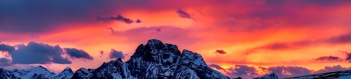 Public profile header image