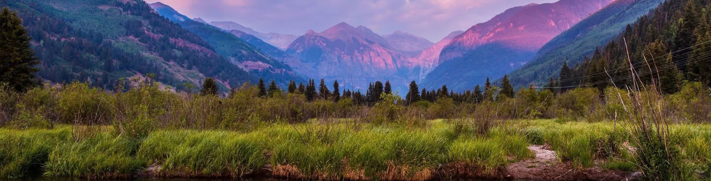 Public profile header image
